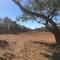 Desert Cave Hotel - Coober Pedy