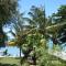 Coconuts - Grand Bay