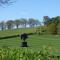 Orchard Paddocks