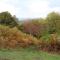Pardlestone Farm Cottages
