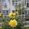 Hotel Villa Subklew