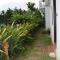 Green Areca villa