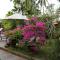 Green Areca villa