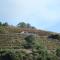Country house Quinta da Salgueira