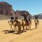 Rumshines Camp - Wadi Rum