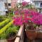 Galaxy Inn Guest House