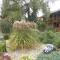 Farma Wenet