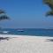 Apartments Silvana 74