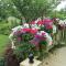 Bedham Hall B&B