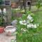 Apartment Damjan