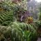 Kupu Kupu Garden Guest House & Cafe
