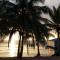 The Palapa House