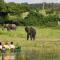 Chobe River Camp - Ngoma