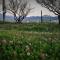 Uphill Glavanovic Villas