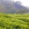 The Xanadu, Coonoor