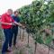 Weingut Gastehaus Palkowitsch