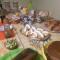 B&B Borgo Valagnesi casa Annarita