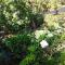 La Ignacia Bed and Breakfast