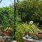 Les Passiflores