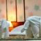 Orchid Resort