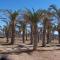 Golf y playa junto al Cabo de Gata - Almería