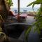 Joes Cafe & Garden Resort