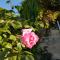 Le Clos Des Etoiles