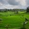 Plataran Ubud Hotel & Spa - Ubud