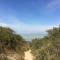 Camping de la Plage photo 14