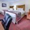 Ramada by Wyndham Metairie New Orleans Airport - Metairie