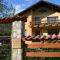 Villa Ribarica