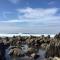 Sagres, Aloha Beach House, 500 meters from Tonel beach