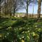 Higher Melcombe Manor - Ansty