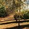 Cheverells Farm, Kiku & Braeburn Cottage