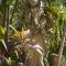 Taman Rahasia Tropical Sanctuary and Spa