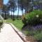 Les Pitounus - Les Arcs sur Argens