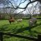 Willowhill House Bed and Breakfast P43 YK06