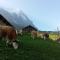 Chalet Bärgblick