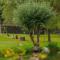 Hotel Dirbach Plage