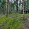 Zoes Log Cabin