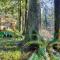 The Cedars Cabin