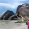 Belitung Backpacker