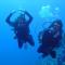 Dive Urge