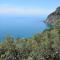 Corner of Paradise near Cinque Terre