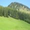 Berwang Chalets - Enzian