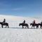 Nomad Horse Camp
