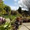 Rowan Tree House B&B