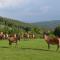 Wildwiesenhof