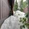 Flying Stag: Upper Chalet