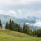 Gasthaus Furlhütte - Віпітено